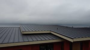 Best Asphalt Shingle Roofing  in Hansen, ID